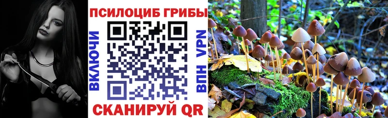 Псилоцибиновые грибы Psilocybe  Купить закладки  Октябрьский 